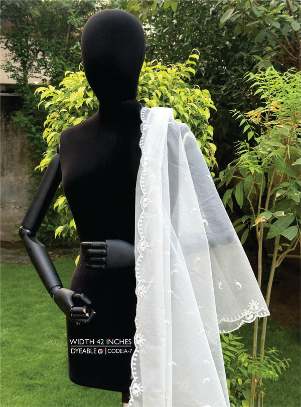 Embroidered Organza (4 Sided Bordered)